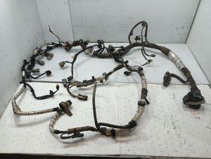 2015-2016 Ford F-150 Engine Wiring Harness (Used OEM)