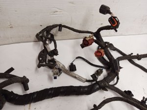 2017-2019 Ford Escape Engine Wiring Harness (Used OEM)