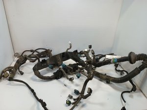 1999-2001 Toyota Land Cruiser Engine Wiring Harness (Used OEM)