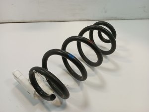 2014-2020 Nissan Rogue Rear Coil Spring (Used OEM)