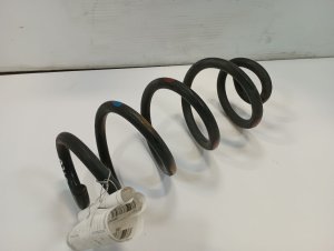 2014-2020 Nissan Rogue Rear Coil Spring (Used OEM)