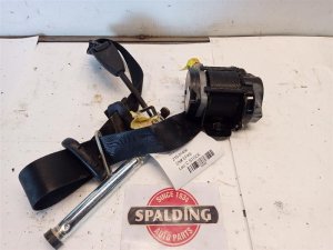 2013-2018 Ford Focus Black Seat Belt Assembly with Pretensioner - Front, Right (Passenger) (Used OEM)