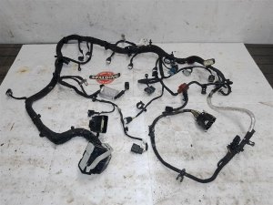 2018-2023 Ford Mustang Engine Wiring Harness (Used OEM)