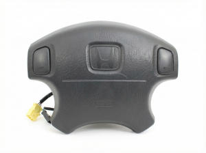 2006-2008 BMW 750Li Front Door Air Bag with Trim Panel - Right (Passenger) (Used OEM)