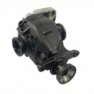 2008-2010 BMW 528i Rear Differential Carrier Assembly 3.91 Ratio (Used OEM)