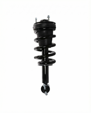 2005-2009 Buick LaCrosse Front Soft Ride Suspension Strut Assembly (Used OEM)