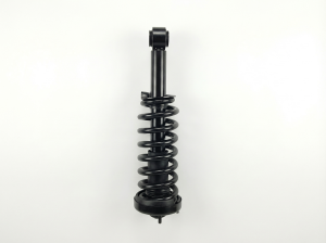 2004-2005 Ford F-150 Front Suspension Strut Assembly (Used OEM)