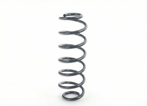 2012-2019 Volkswagen Beetle Rear Coil Spring (Used OEM)