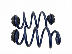 2008-2015 Nissan Rogue Rear Coil Spring (Used OEM)