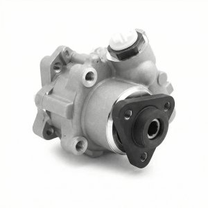 2002 BMW 320i LF-30 Power Steering Pump (Used OEM)