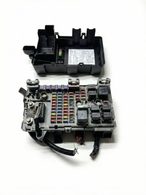 2008-2010 Chrysler 300 Interior Fuse Box (Used OEM)