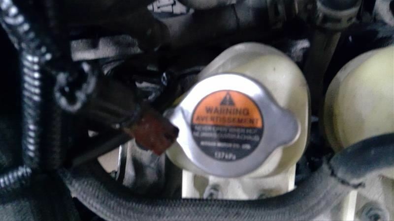 2016-2024 INFINITI Q50 Intercooler Coolant Reservoir Assembly (Used OEM)