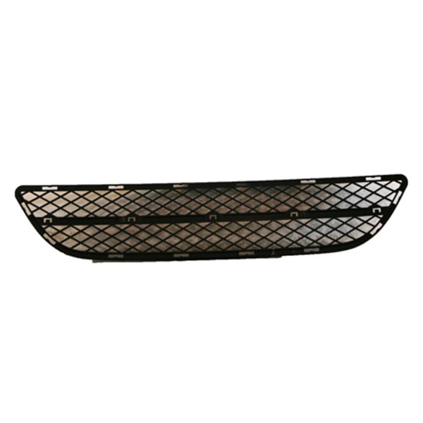 2006 - 2008 BMW 325i Front Grille Assembly - Center