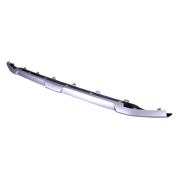 2022 - 2025 BMW X3 Front Bumper Molding