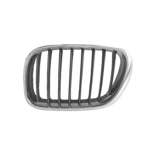 2000 - 2003 BMW X5 Grille Assy
