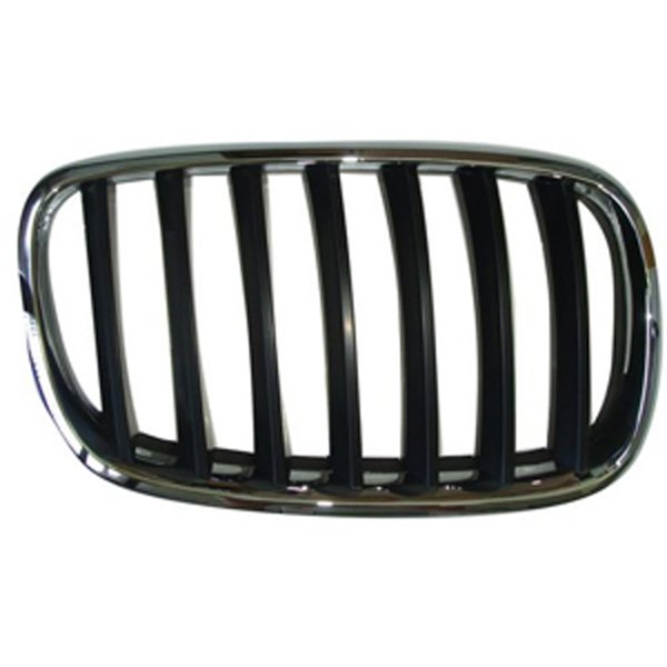 2007 - 2014 BMW X5 Grille Assy