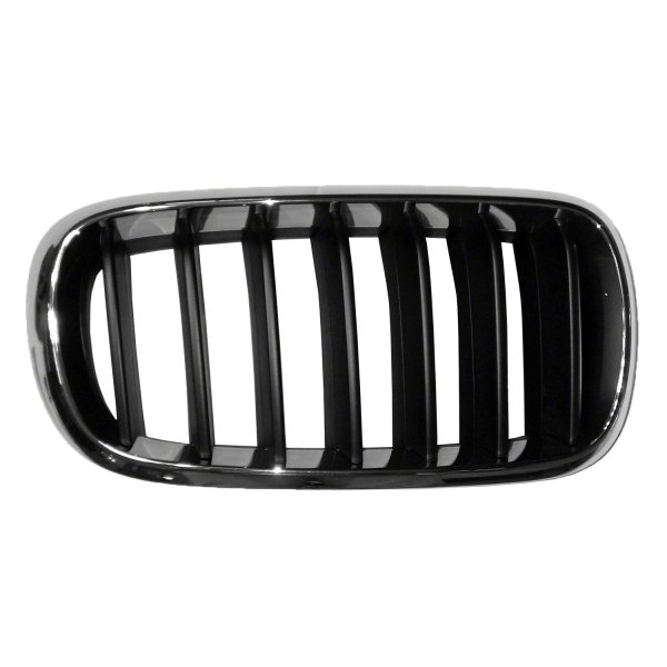 2014 - 2018 BMW X5 Grille Assy