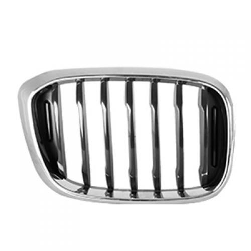 2018 - 2019 BMW X4 Grille Assembly