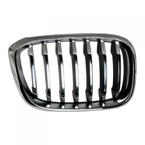 2018 - 2021 BMW X3 Grille Assembly