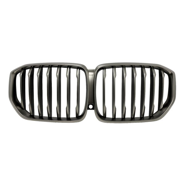 2019 - 2023 BMW X5 Grille Assembly