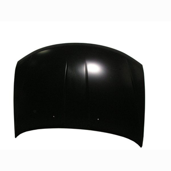 2009 - 2020 Dodge Journey Hood Panel Assy