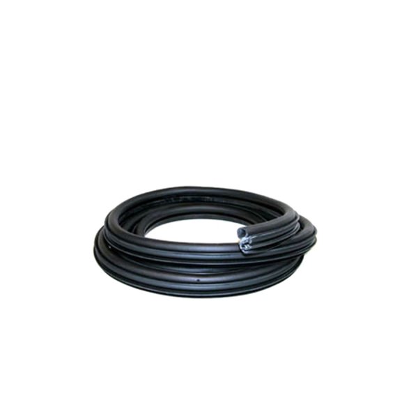 1994 - 2002 Dodge Ram 1500 Front Door Weatherstrip (Left / Driver Side)