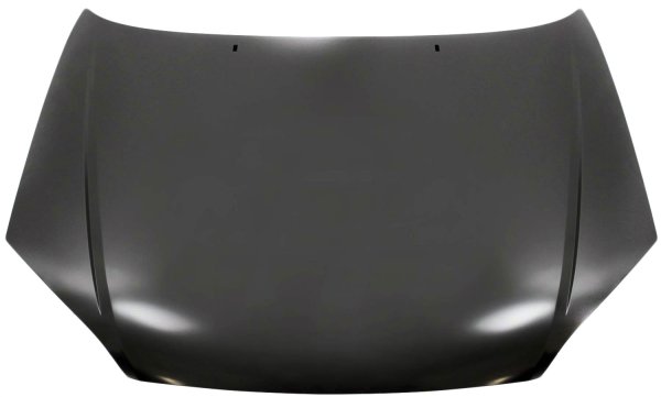 Hood for Ford Focus 2005-2007, Replacement