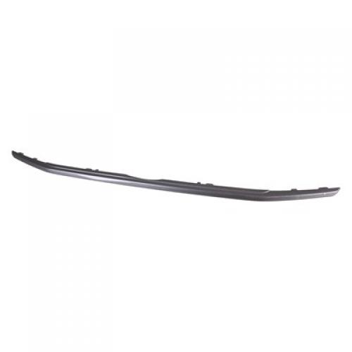 2018 - 2022 Ford Ecosport Grille Molding Lower