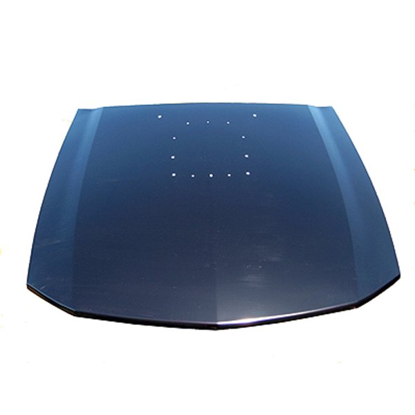 2005 - 2009 Ford Mustang Hood Panel Assy