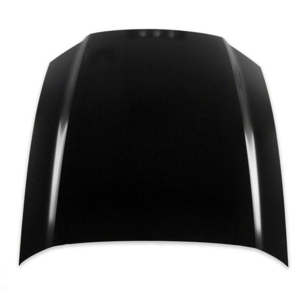 2013 - 2014 Ford Mustang Hood Panel Assy