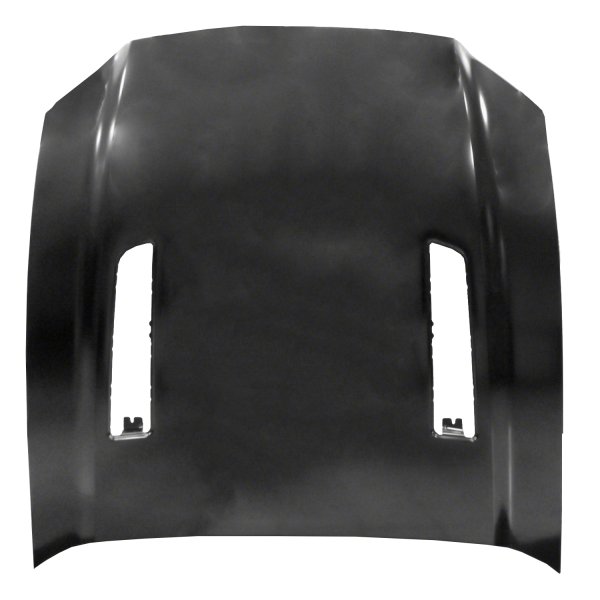 2013 - 2014 Ford Mustang Hood Panel Assy