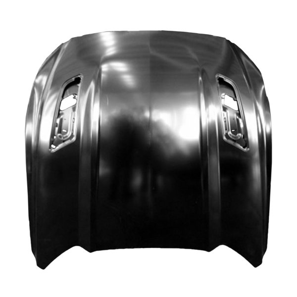 2015 - 2017 Ford Mustang Hood Panel Assy