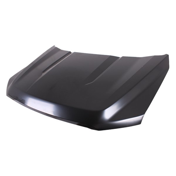 2021 - 2024 Ford F-150 Hood Panel Assembly