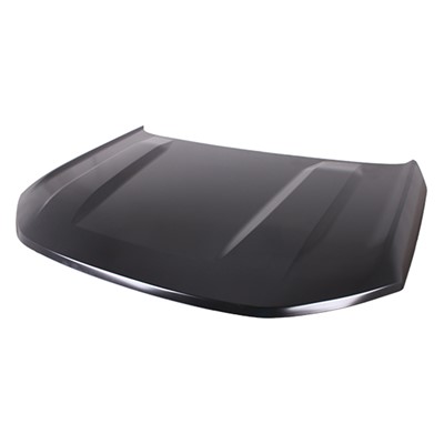 2021 - 2024 Ford Bronco Sport Hood Panel Assembly