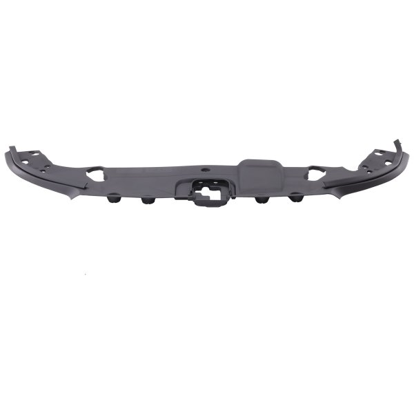 2023 - 2025 Lexus RX350 Front Panel Molding