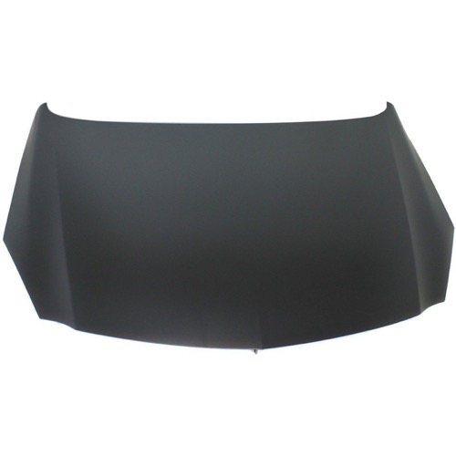 2011 - 2011 Buick Regal Hood Replacement