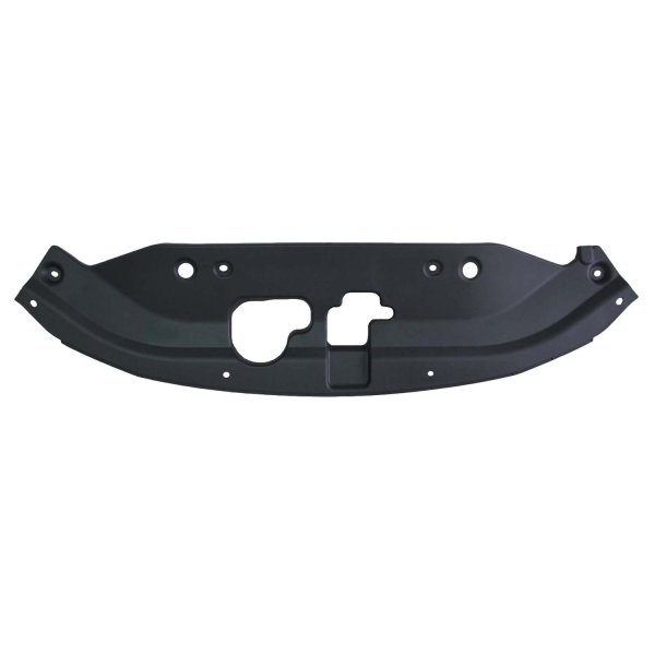 2008 - 2010 Honda Odyssey Front Panel Molding