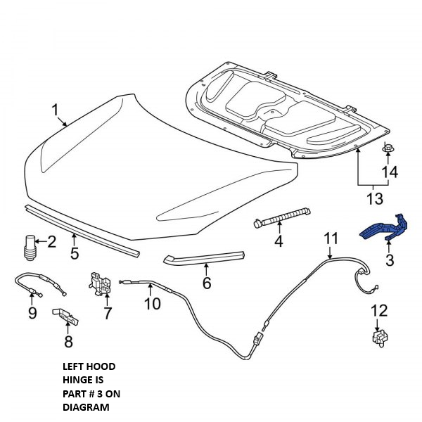 2023 - 2025 Honda CR-V Hood Hinge Assembly