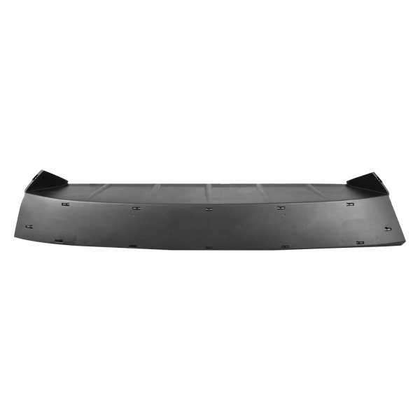 2023 - 2024 Lexus RX350 Grille Filler