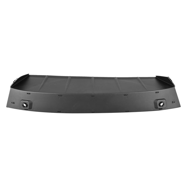 2023 - 2024 Lexus RX350 Grille Filler