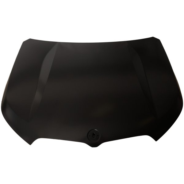 2023 - 2023 BMW X1 Hood Panel Assembly