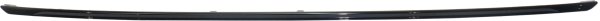 2016 - 2018 BMW 320i Rear Bumper Molding