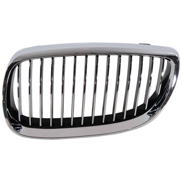 2007 - 2014 BMW X6 Grille Assy