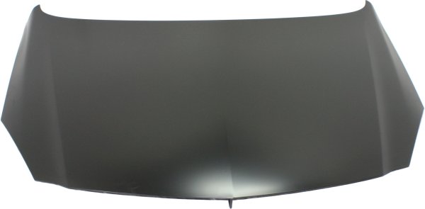 2011 - 2011 Buick Regal Hood Replacement
