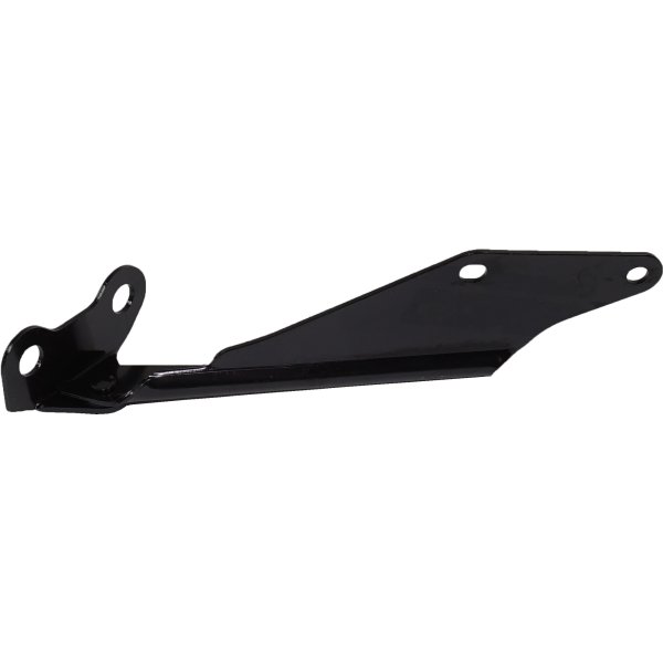 Hood Hinge for Ford Taurus/Taurus X 2008-2009, Right (Passenger) Side, Replacement