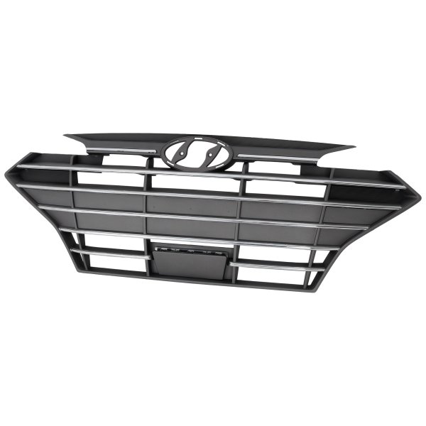2019 - 2020 Hyundai Elantra Grille Assembly