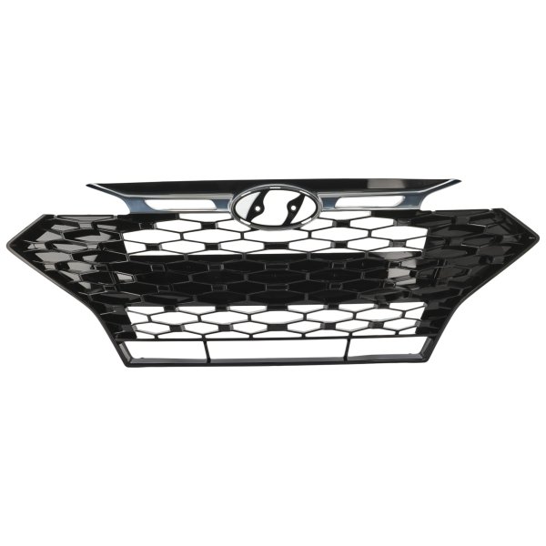 2019 - 2020 Hyundai Elantra Grille Assembly