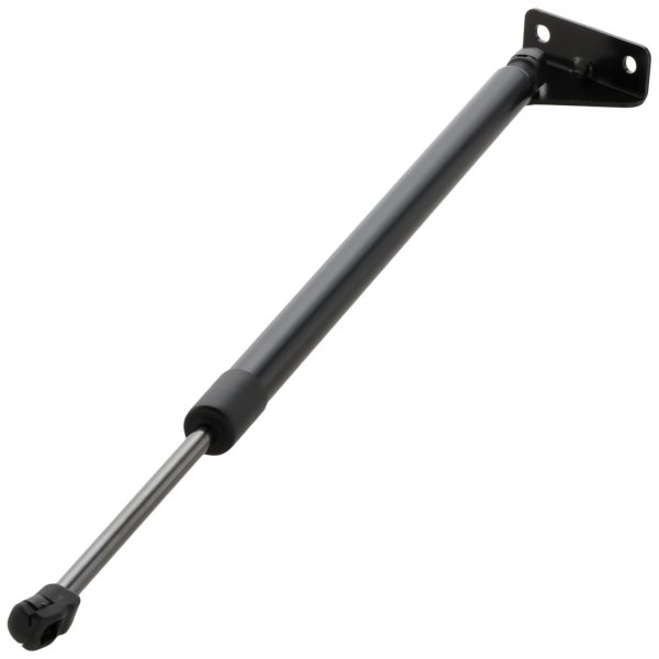 2019 - 2020 Hyundai Santa Fe Lift Support - Left (Driver)