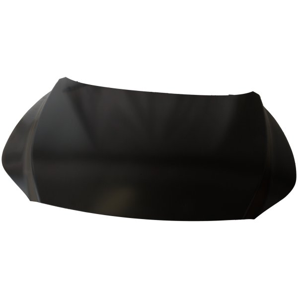 2023 - 2025 Lexus RX350 Hood Panel Assembly