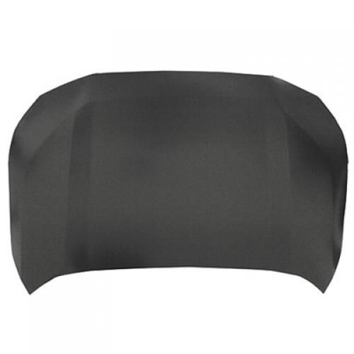 2019 - 2024 Toyota RAV4 Hood Panel Assembly
